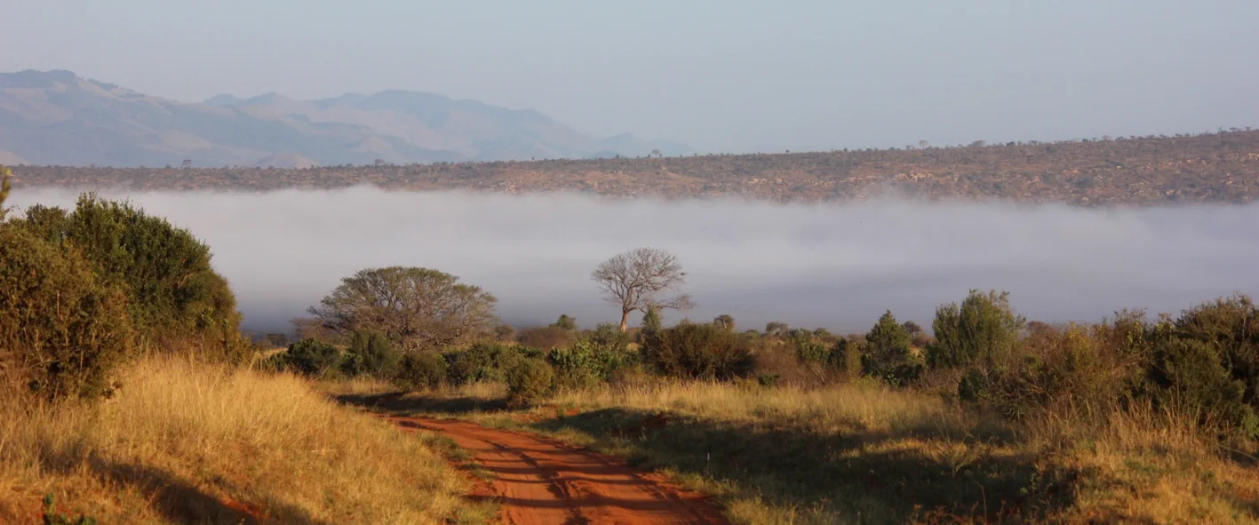 Kenya savannah