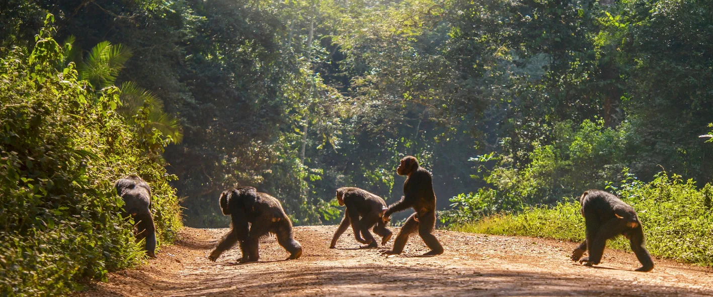 Rwanda