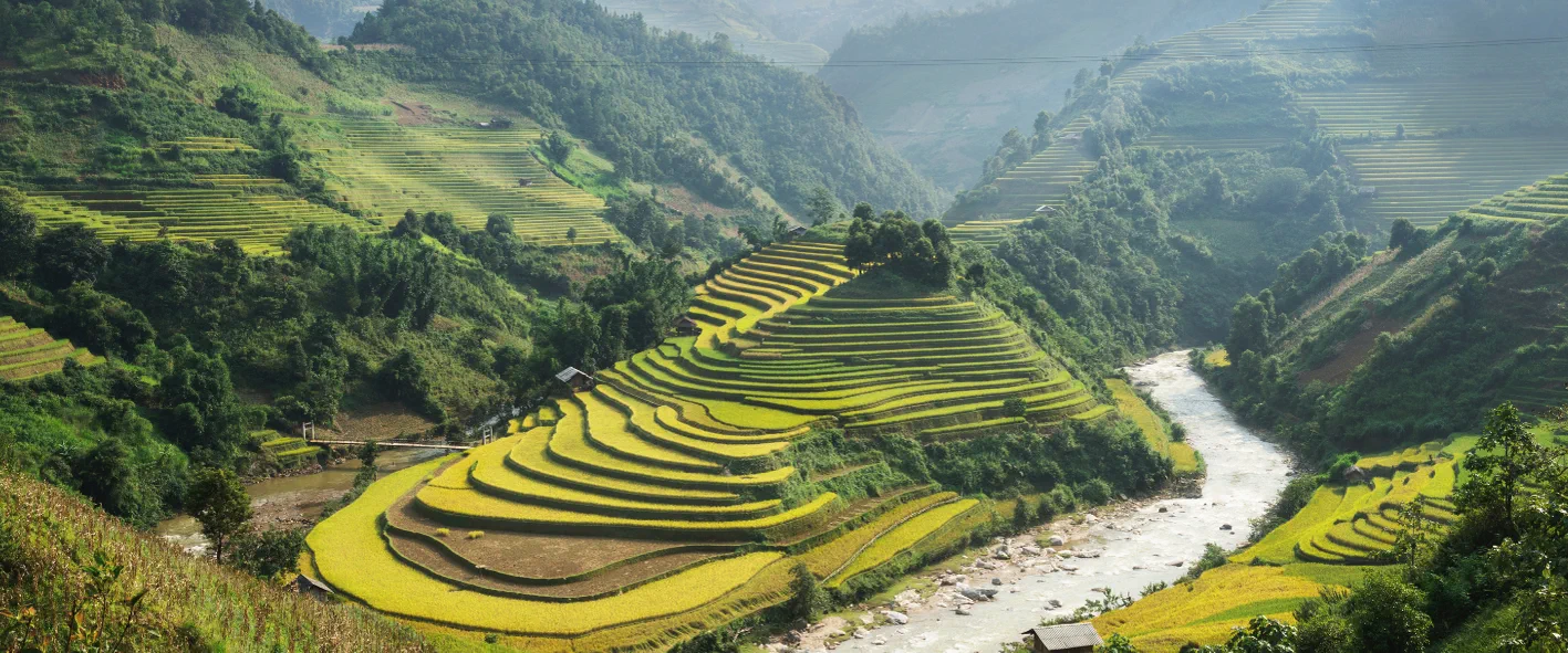 Vietnam