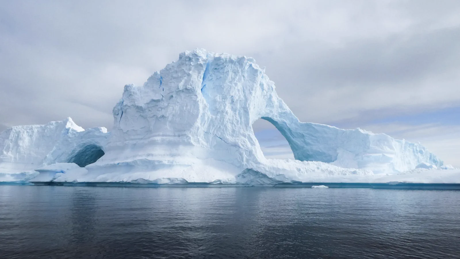 Icebergs in the polar sea