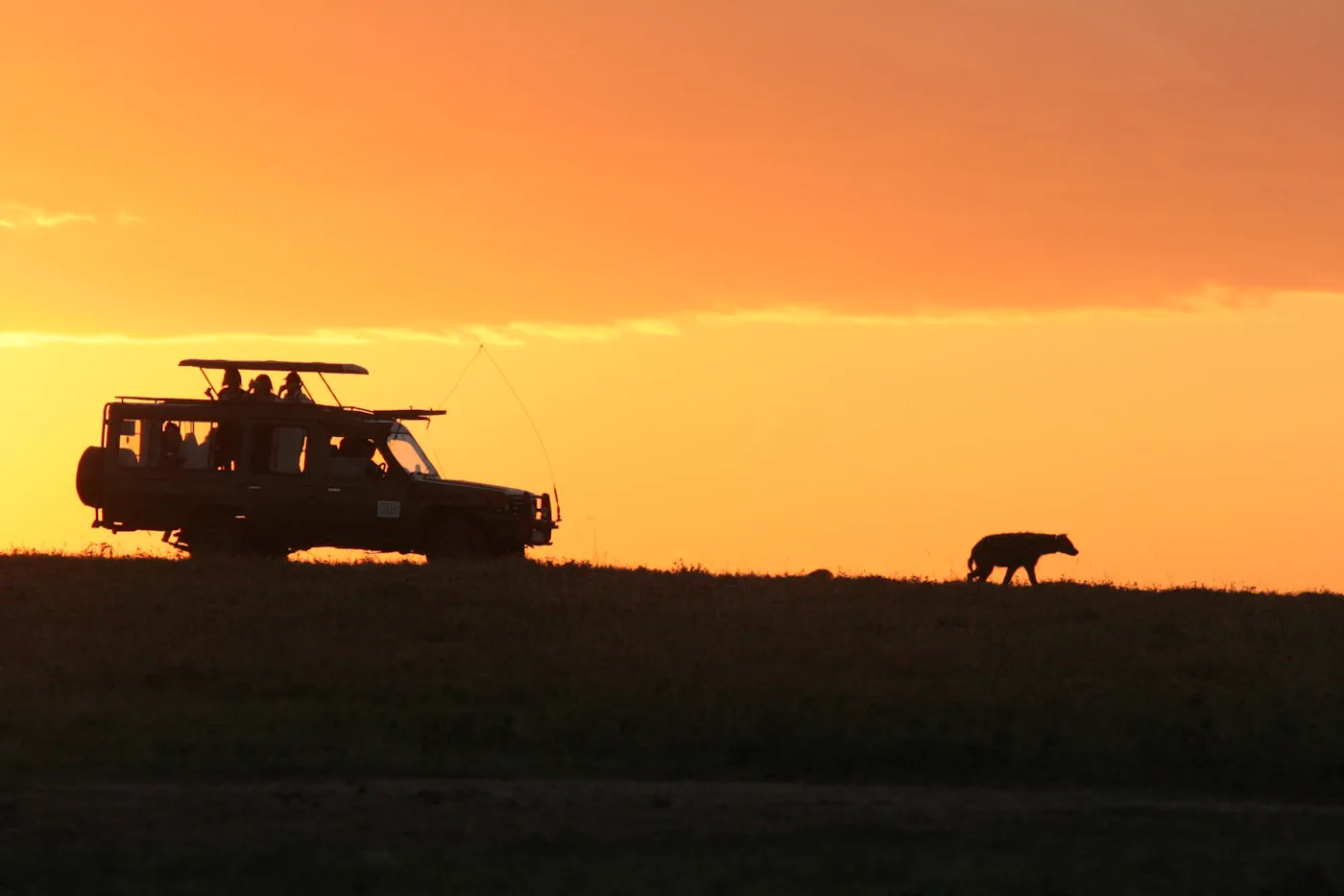 Safari vehicle at golden hour