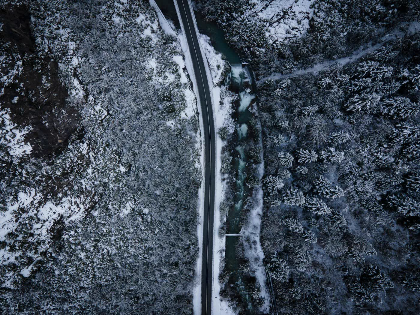 Snow road through the forest