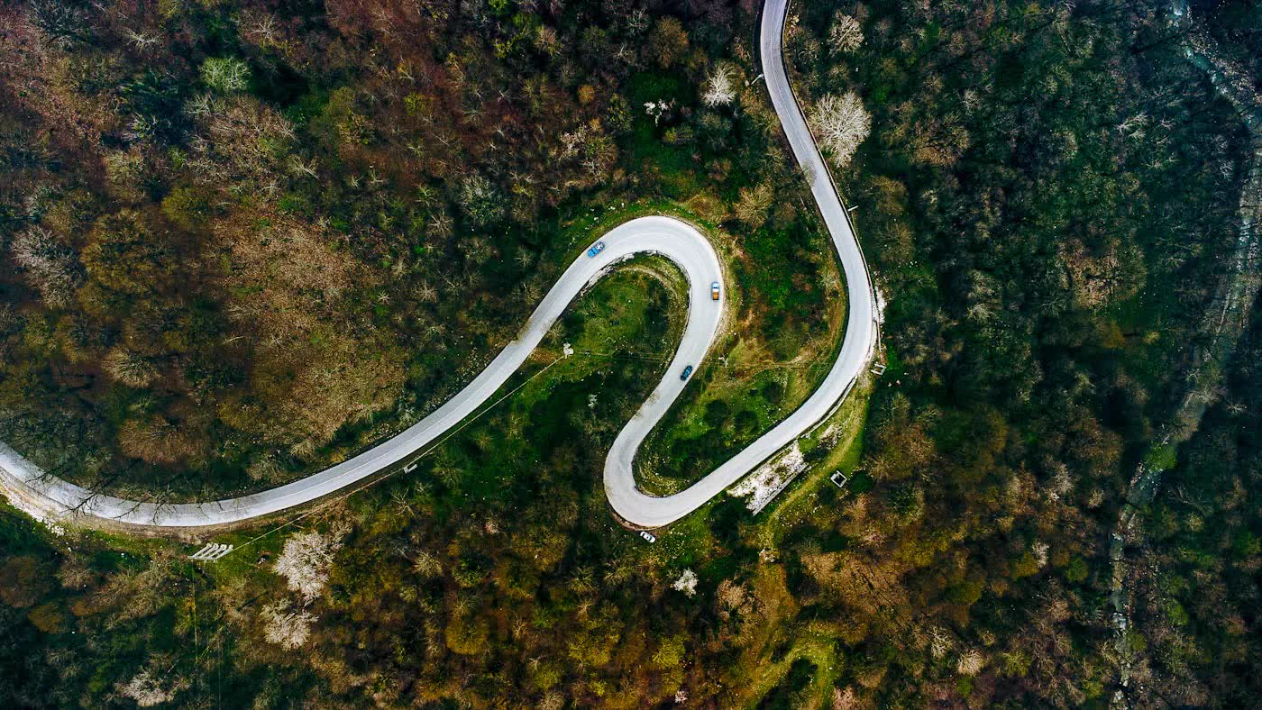 Open road through the forest