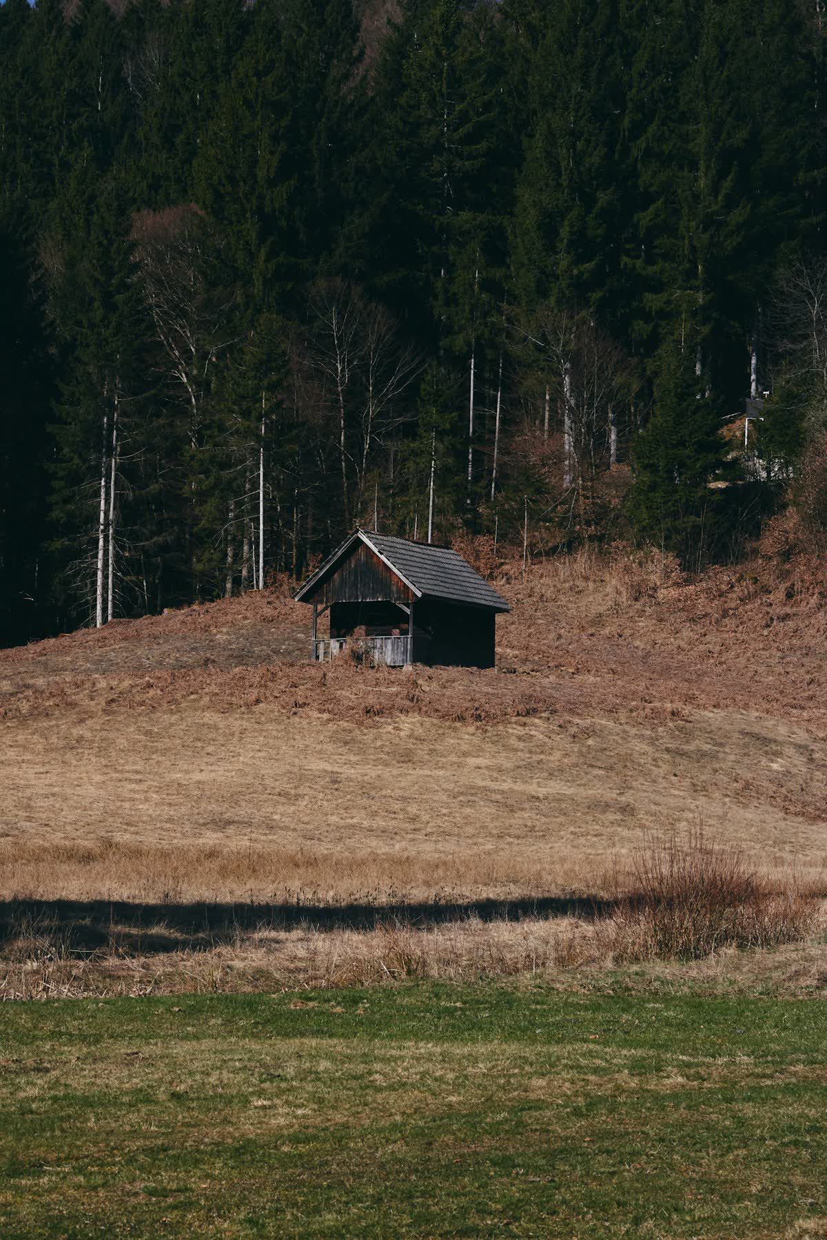 A single cabin on a remote hillside
