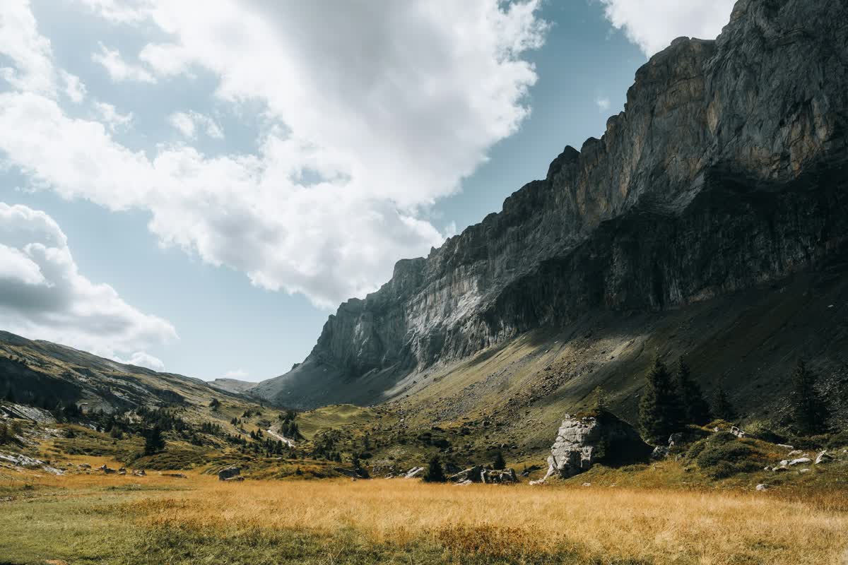 A green valley between summer mountains