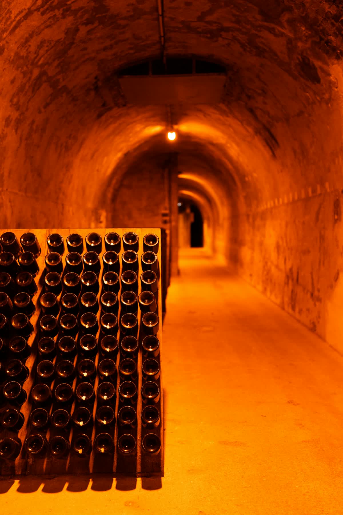 Rows of champagne bottles aging in a cellar