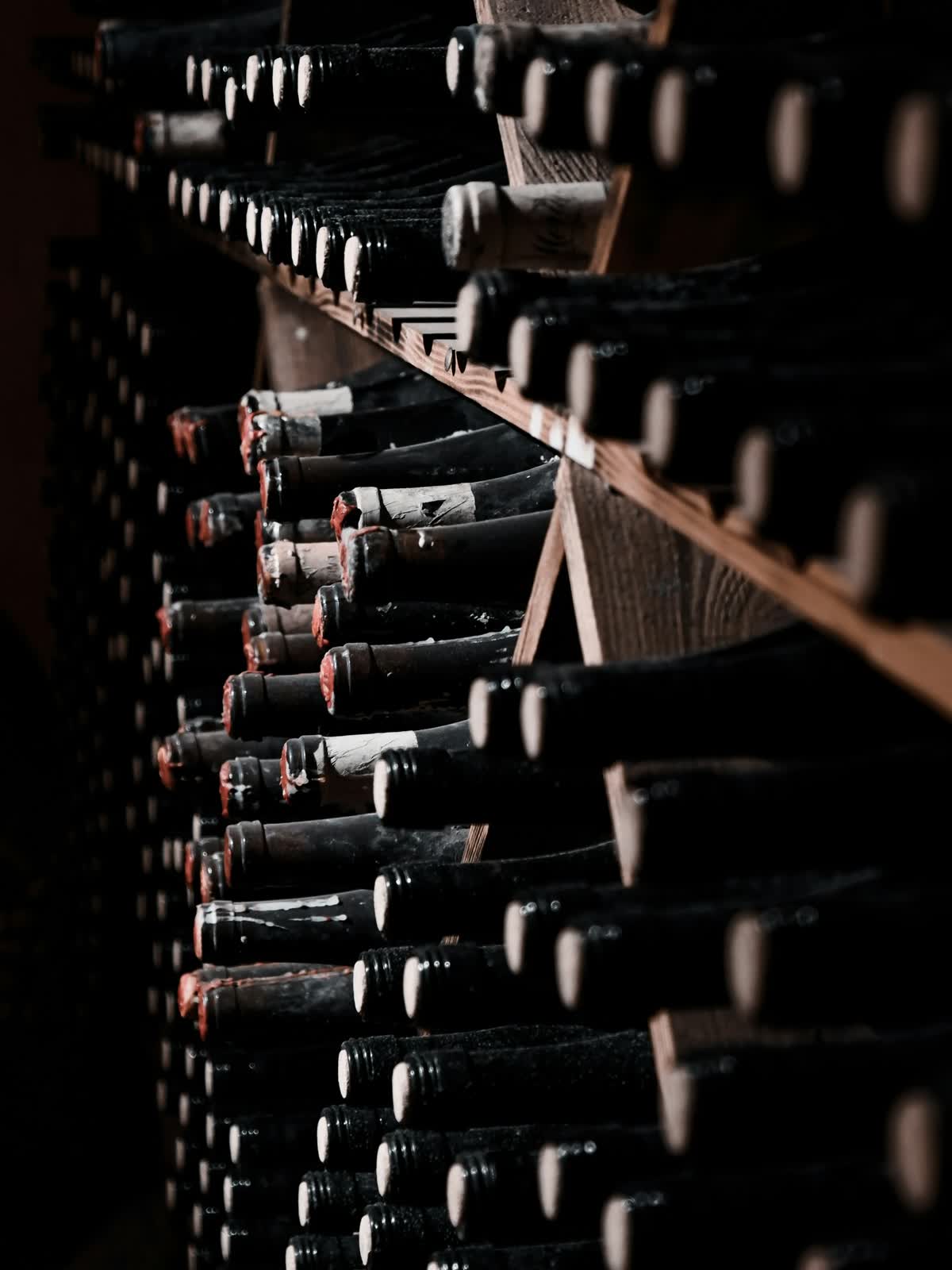 Champagne bottles on cellar racks