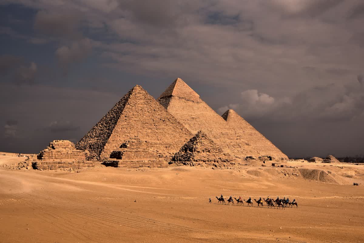 Camels before the Pyramids of Giza