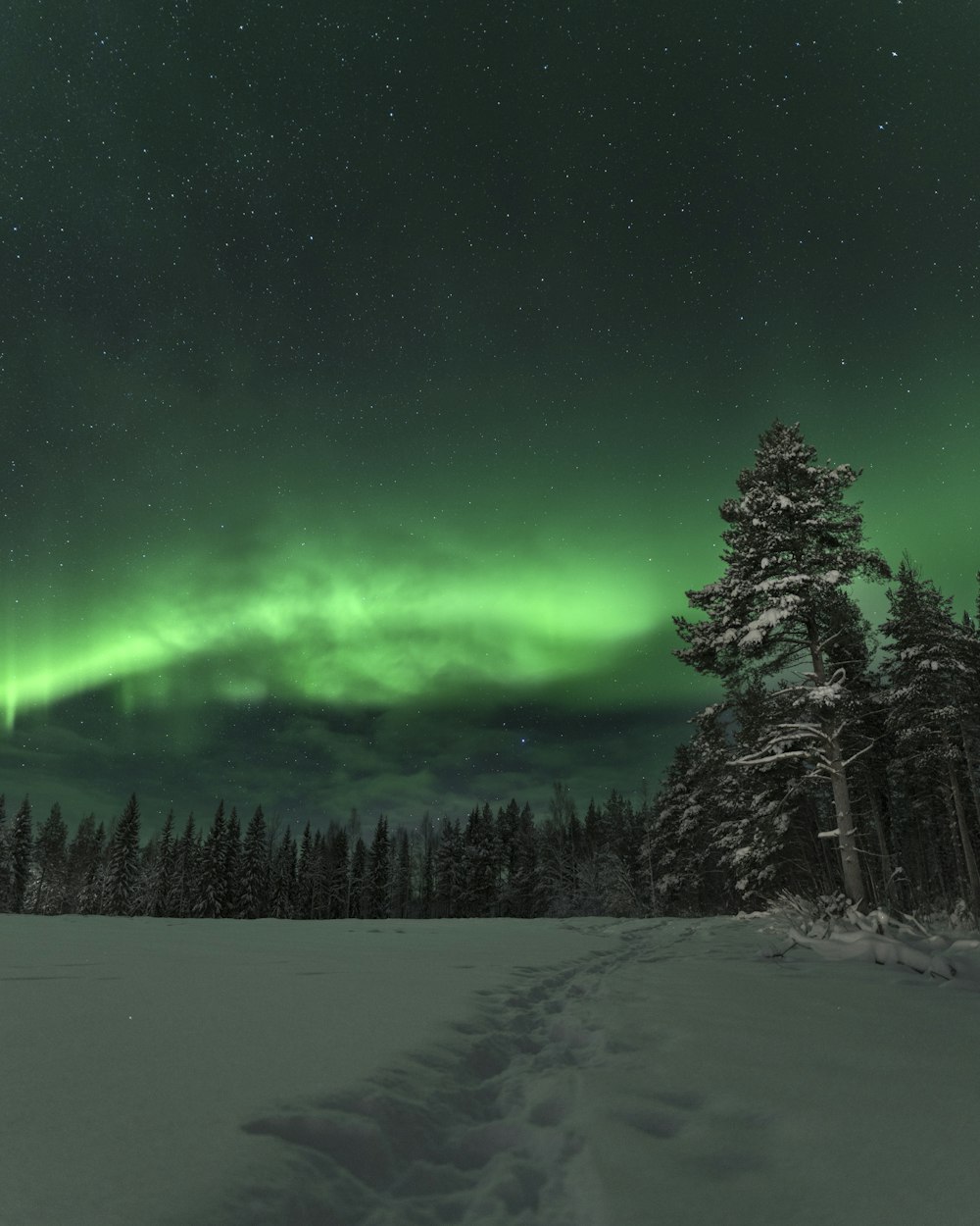 Swedish Lapland