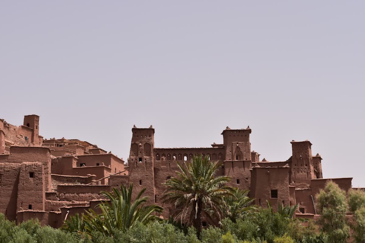 An ochre kasbah with palm trees