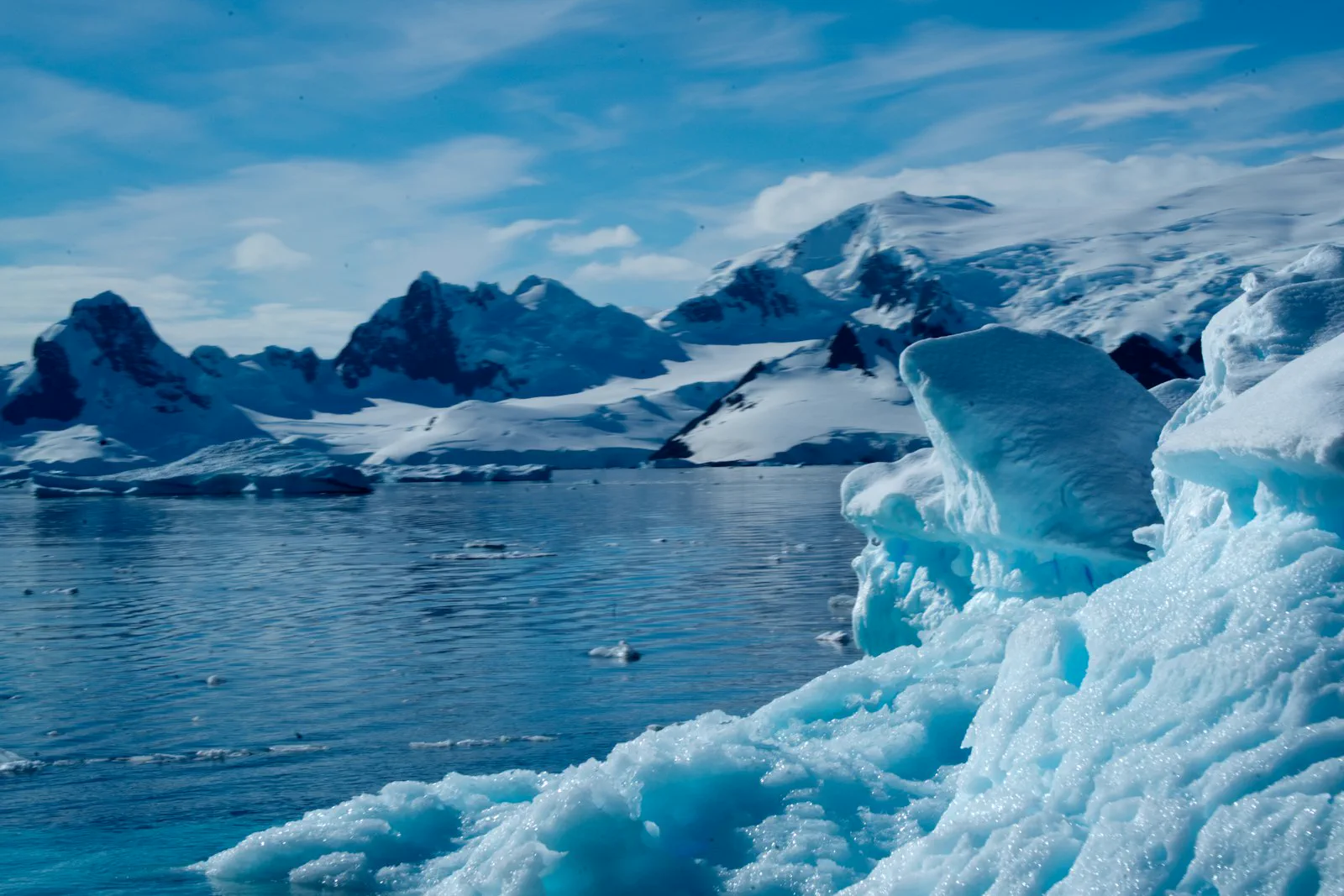 Icebergs and snow-capped peaks