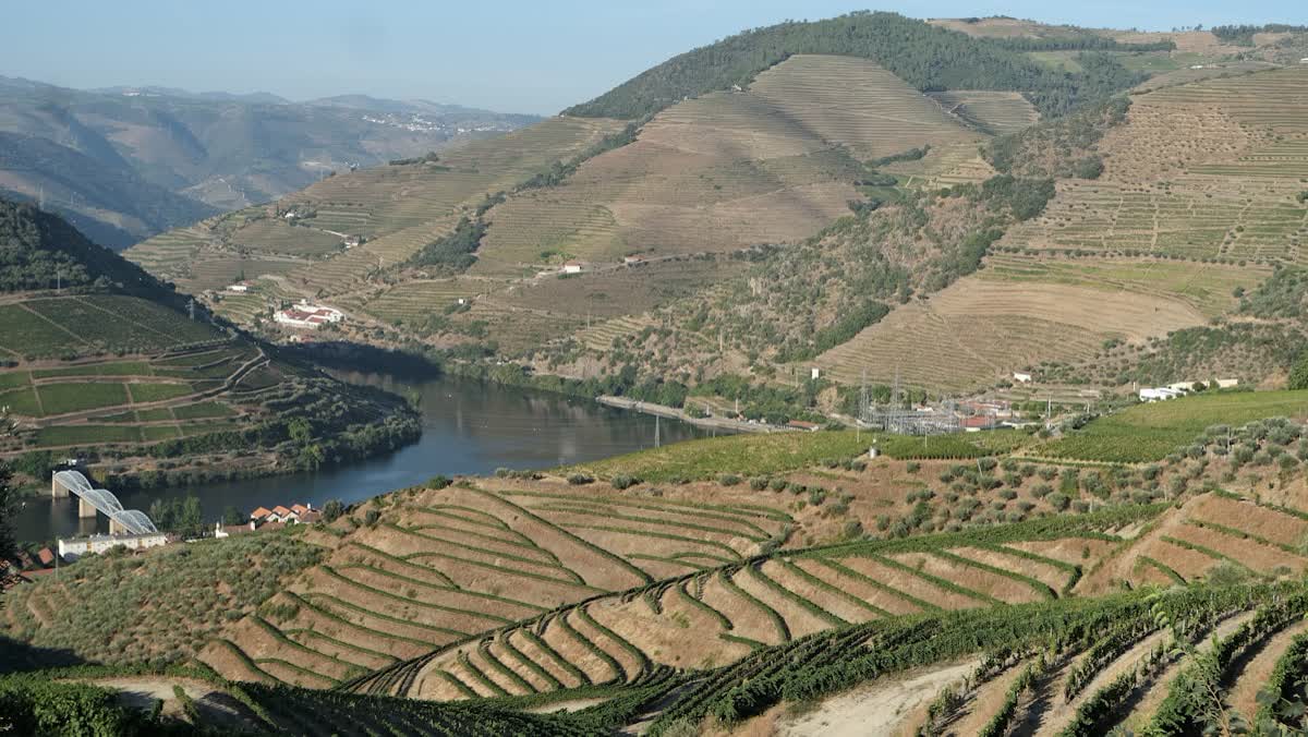 The terraced vineyards of the Douro Valley