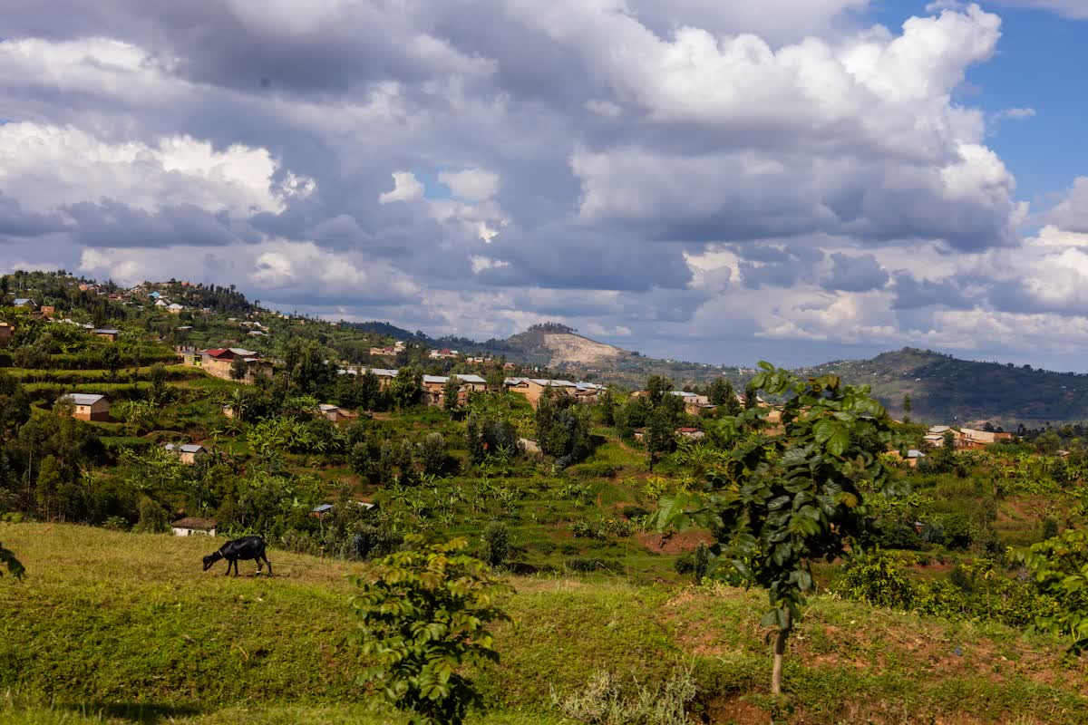 The green thousand hills of Rwanda