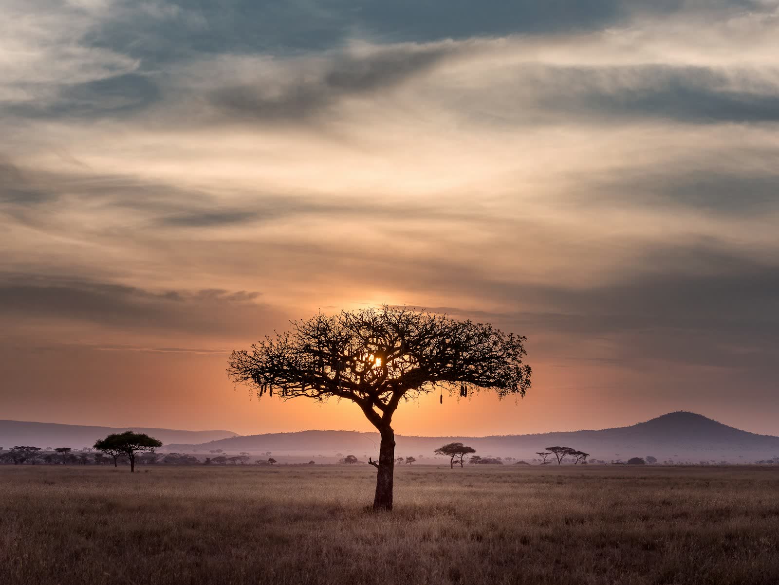 Safari eco-lodges